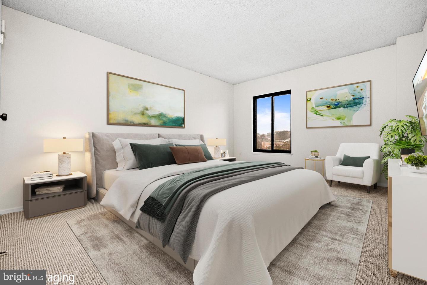 4500 S FOUR MILE RUN DR S #910, ARLINGTON, Virginia 22204, 1 Bedroom Bedrooms, ,1 BathroomBathrooms,Residential,For sale,4500 S FOUR MILE RUN DR S #910,VAAR2069306 MLS # VAAR2069306