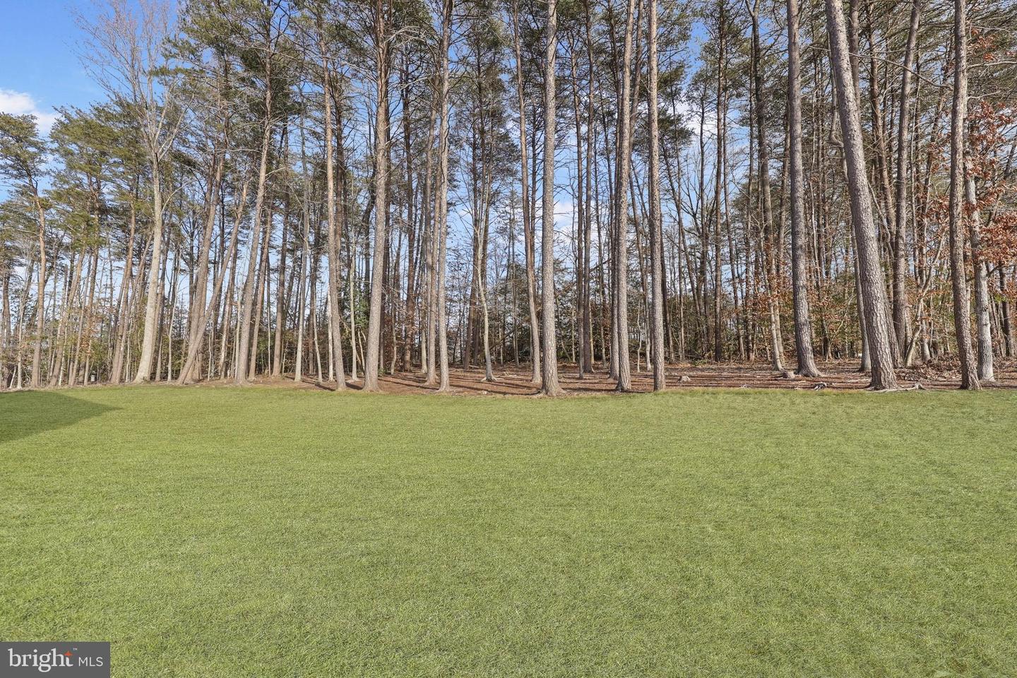 6201 CARTERS GROVE DR, MANASSAS, Virginia 20112, 6 Bedrooms Bedrooms, ,4 BathroomsBathrooms,Residential,For sale,6201 CARTERS GROVE DR,VAPW2113502 MLS # VAPW2113502