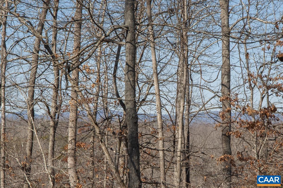 5875 BURNETT LN, ADVANCE MILLS, Virginia 22968, 3 Bedrooms Bedrooms, ,2 BathroomsBathrooms,Residential,For sale,5875 BURNETT LN,673825 MLS # 673825