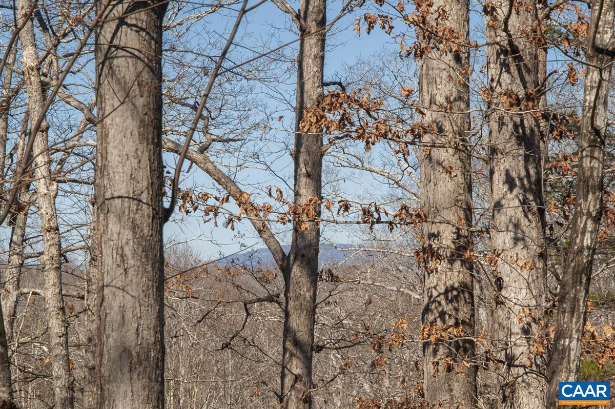 5875 BURNETT LN, ADVANCE MILLS, Virginia 22968, 3 Bedrooms Bedrooms, ,2 BathroomsBathrooms,Residential,For sale,5875 BURNETT LN,673825 MLS # 673825