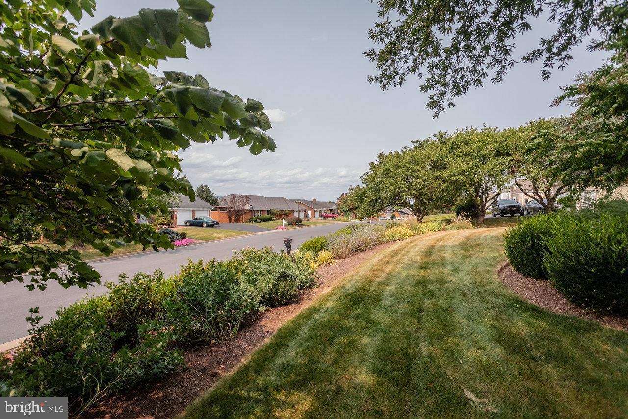 1848 COLLEGE AVE, HARRISONBURG, Virginia 22802, 3 Bedrooms Bedrooms, ,3 BathroomsBathrooms,Residential,For sale,1848 COLLEGE AVE,VAHC2000570 MLS # VAHC2000570