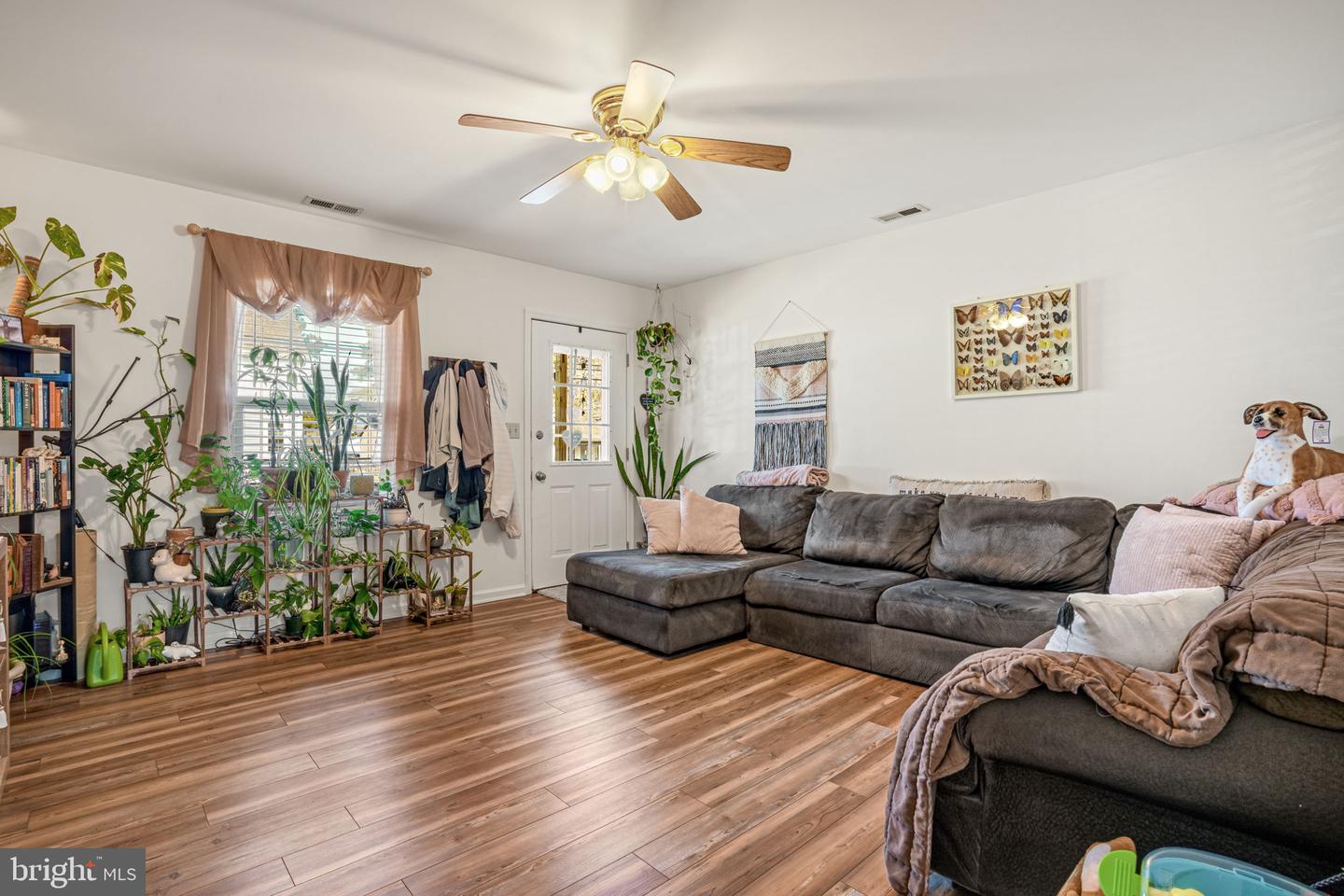 3488 & 3490 WILLOW ST, CHINCOTEAGUE ISLAND, Virginia 23336, 4 Bedrooms Bedrooms, ,4 BathroomsBathrooms,Residential,For sale,3488 & 3490 WILLOW ST,VAAC2002644 MLS # VAAC2002644 3488 & 3490 WILLOW ST, CHINCOTEAGUE ISLAND, Virginia 23336, 4 Bedrooms Bedrooms, ,4 BathroomsBathrooms,Residential,For sale,3488 & 3490 WILLOW ST,VAAC2002644 MLS # VAAC2002644