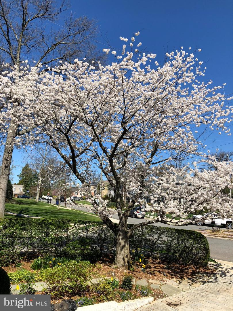 6108 VERNON TERRACE, ALEXANDRIA, Virginia 22307, 6 Bedrooms Bedrooms, 14 Rooms Rooms,4 BathroomsBathrooms,Residential,For sale,6108 VERNON TERRACE,VAFX2293918 MLS # VAFX2293918