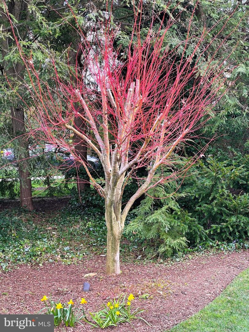 6108 VERNON TERRACE, ALEXANDRIA, Virginia 22307, 6 Bedrooms Bedrooms, 14 Rooms Rooms,4 BathroomsBathrooms,Residential,For sale,6108 VERNON TERRACE,VAFX2293918 MLS # VAFX2293918