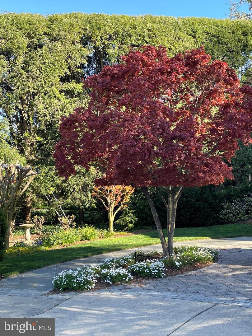 6108 VERNON TERRACE, ALEXANDRIA, Virginia 22307, 6 Bedrooms Bedrooms, 14 Rooms Rooms,4 BathroomsBathrooms,Residential,For sale,6108 VERNON TERRACE,VAFX2293918 MLS # VAFX2293918