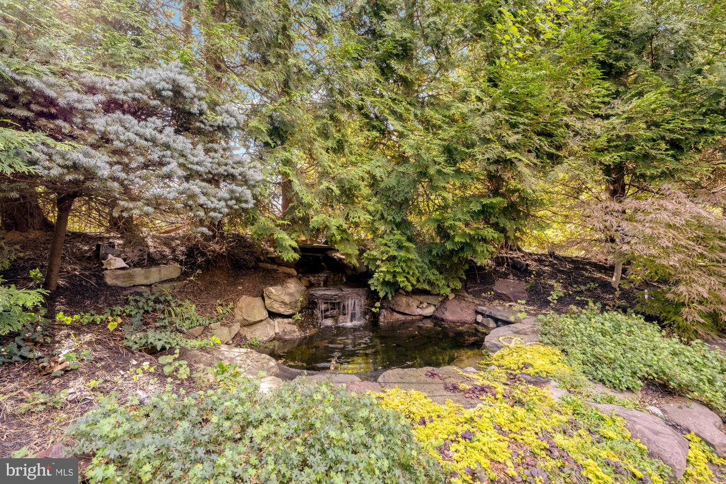 6238 LINWAY TER, MCLEAN, Virginia 22101, 6 Bedrooms Bedrooms, ,6 BathroomsBathrooms,Residential,For sale,6238 LINWAY TER,VAFX2294092 MLS # VAFX2294092