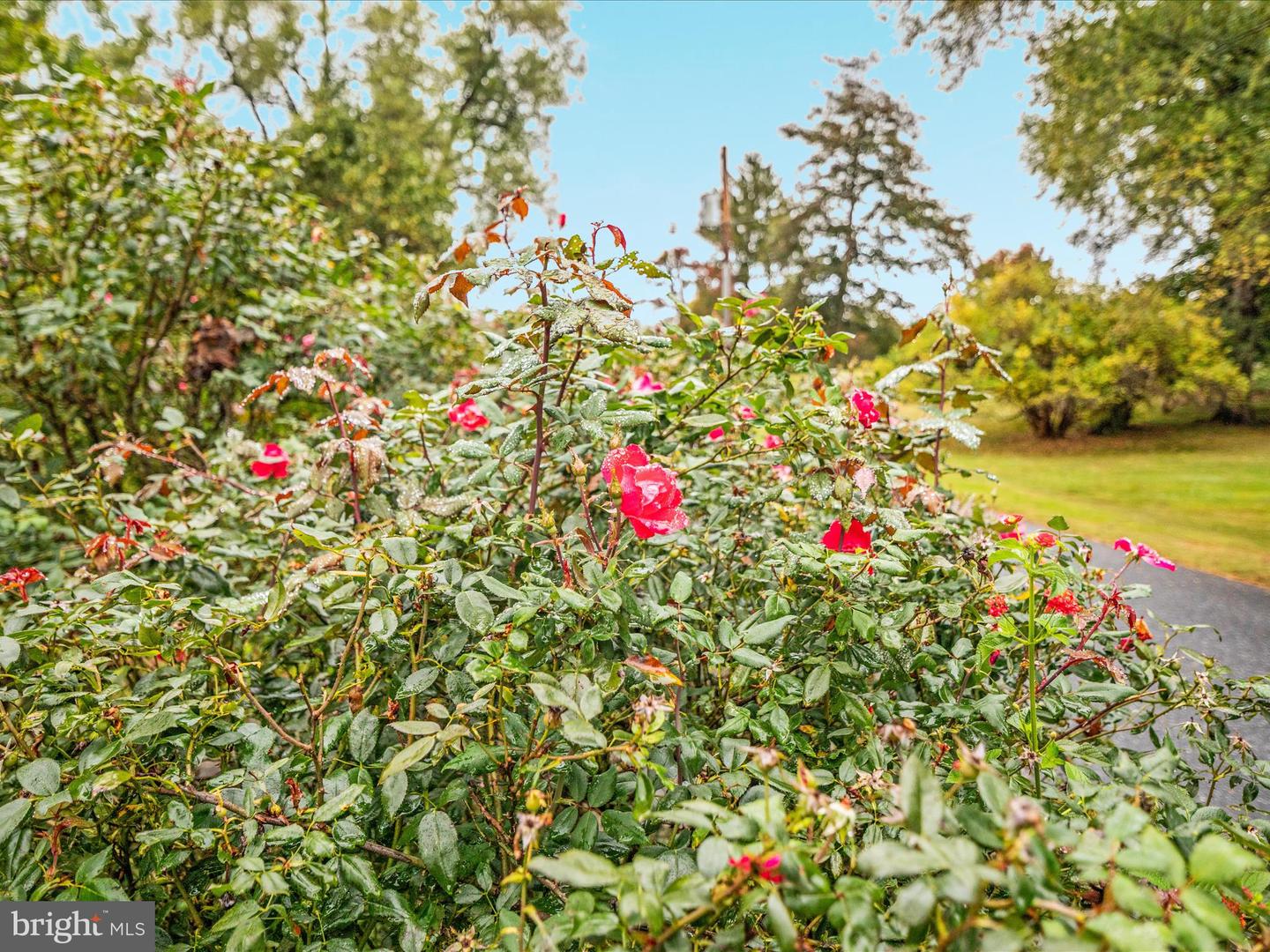 517 W LOCUST ST, WOODSTOCK, Virginia 22664, 6 Bedrooms Bedrooms, ,3 BathroomsBathrooms,Residential,For sale,517 W LOCUST ST,VASH2012792 MLS # VASH2012792