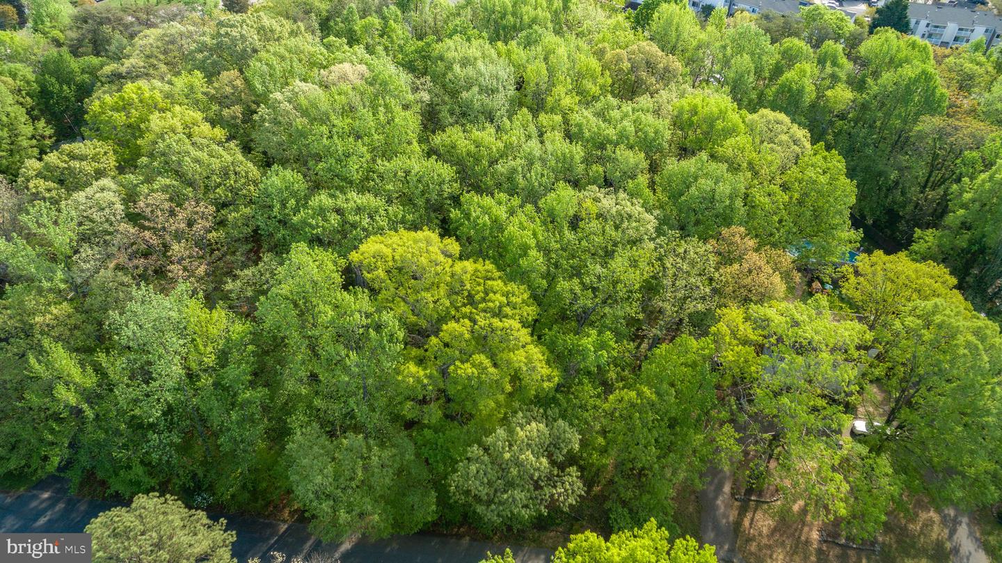 104 GOODLOE DR, FREDERICKSBURG, Virginia 22401, ,Land,For sale,104 GOODLOE DR,VAFB2004552 MLS # VAFB2004552