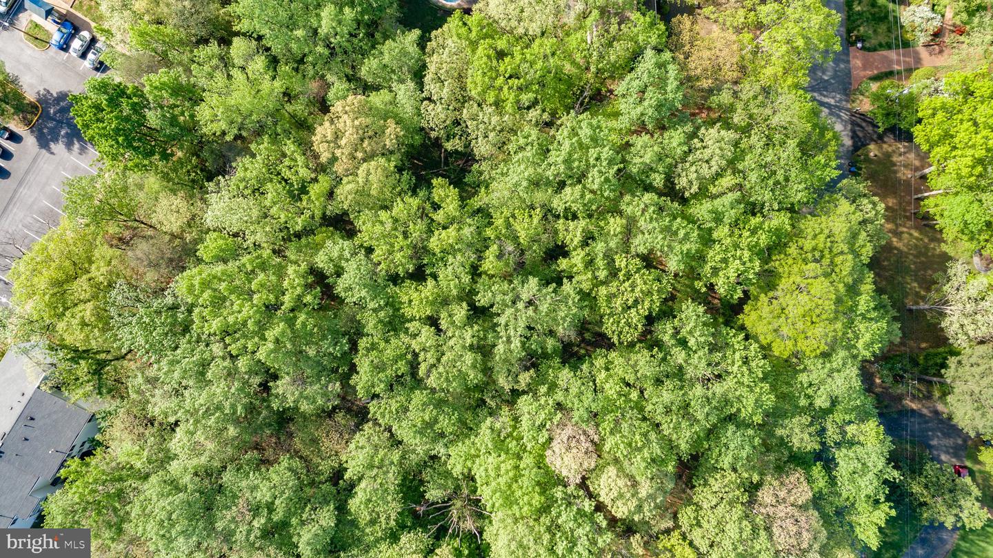 104 GOODLOE DR, FREDERICKSBURG, Virginia 22401, ,Land,For sale,104 GOODLOE DR,VAFB2004552 MLS # VAFB2004552