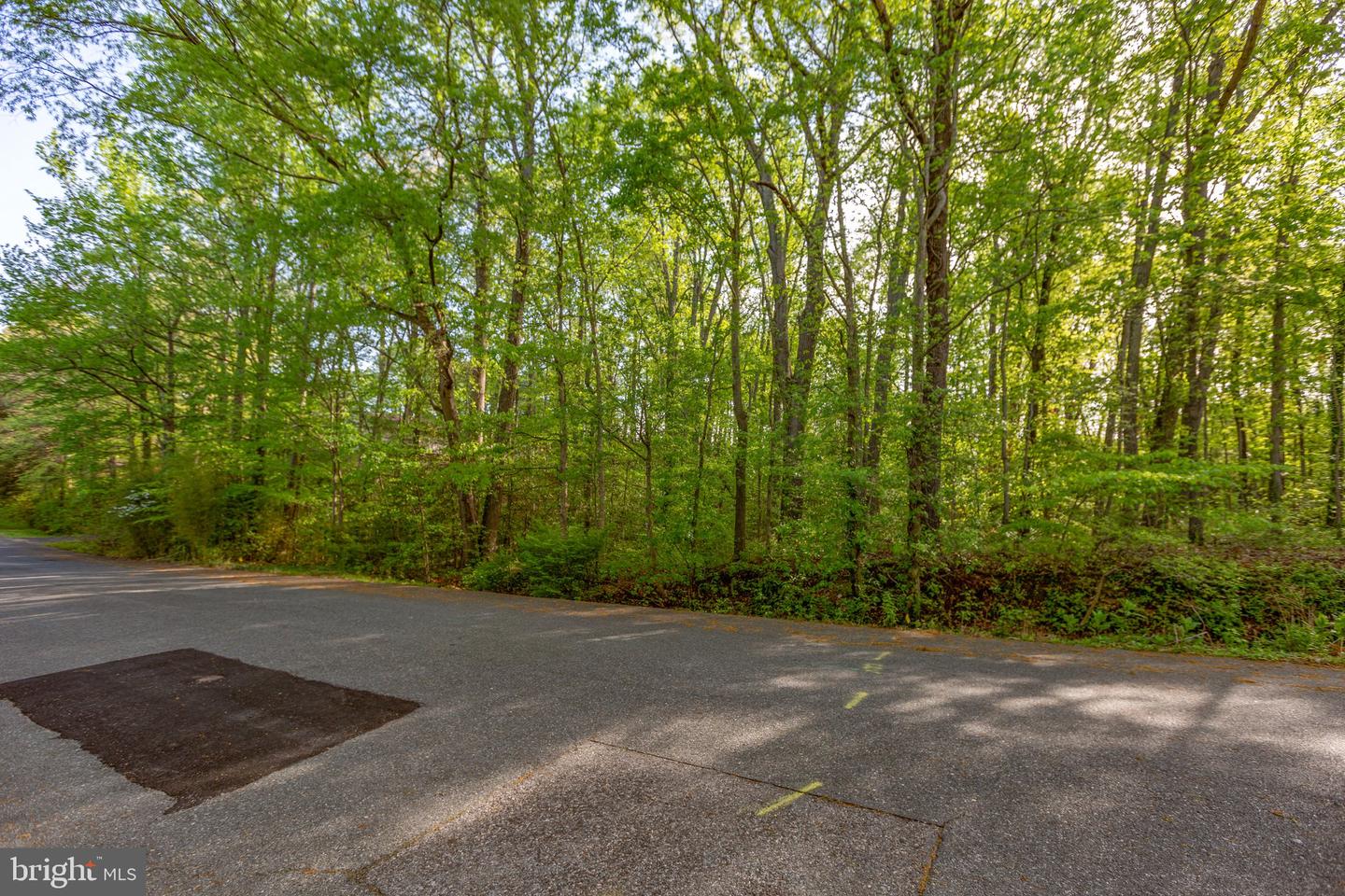 104 GOODLOE DR, FREDERICKSBURG, Virginia 22401, ,Land,For sale,104 GOODLOE DR,VAFB2004552 MLS # VAFB2004552