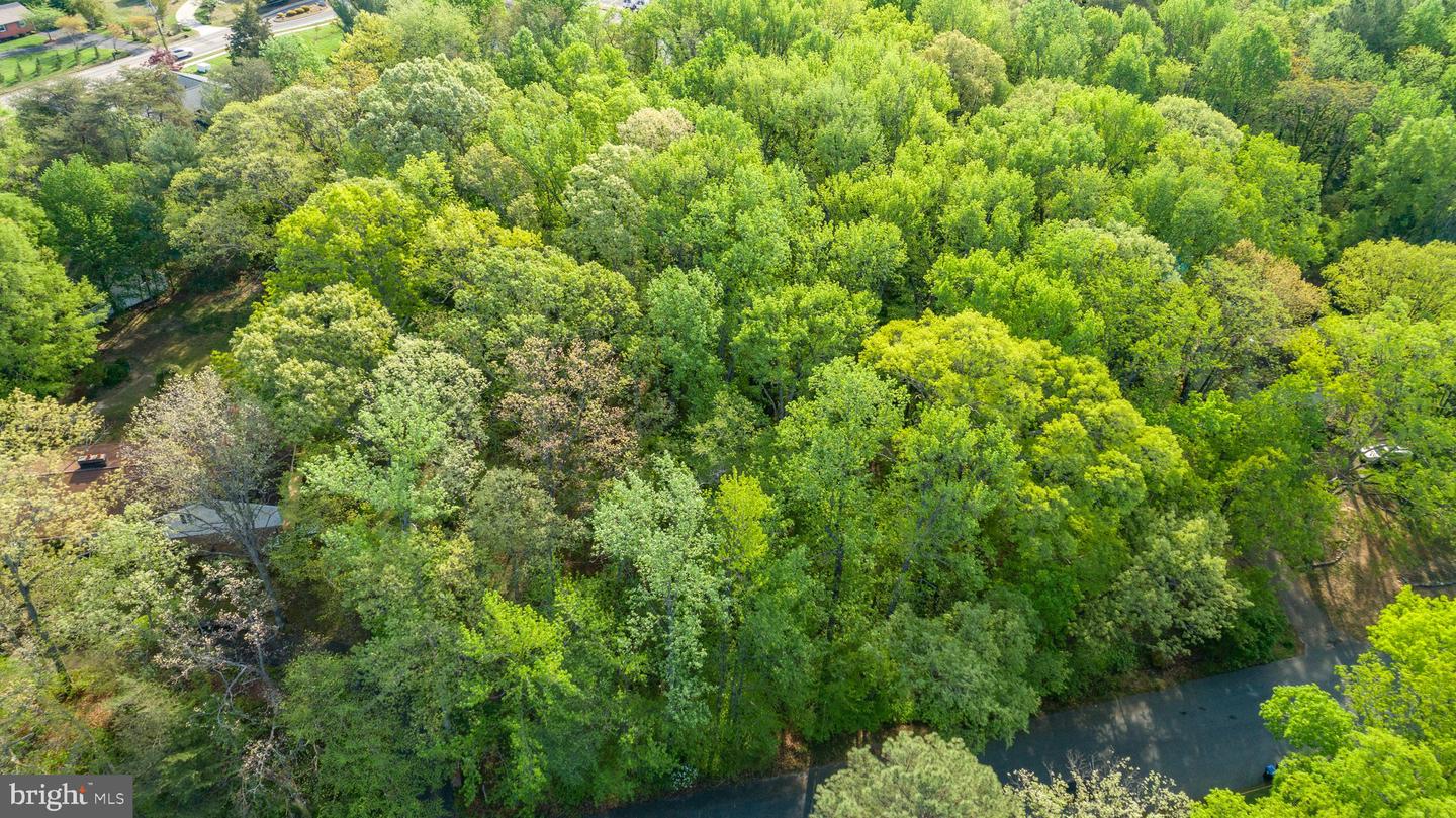 104 GOODLOE DR, FREDERICKSBURG, Virginia 22401, ,Land,For sale,104 GOODLOE DR,VAFB2004552 MLS # VAFB2004552