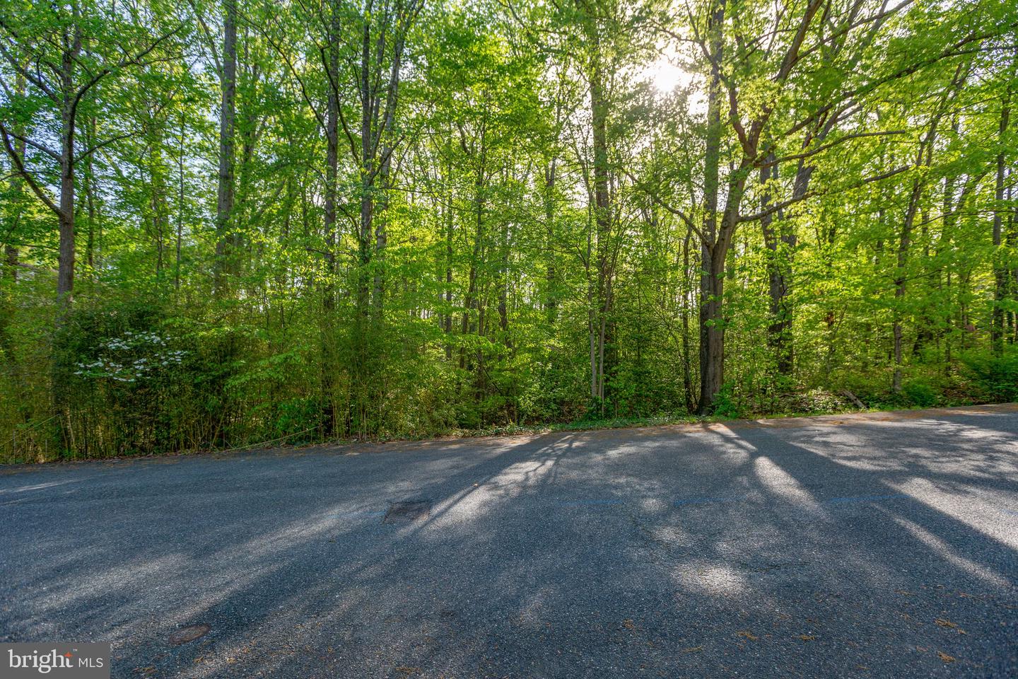 104 GOODLOE DR, FREDERICKSBURG, Virginia 22401, ,Land,For sale,104 GOODLOE DR,VAFB2004552 MLS # VAFB2004552