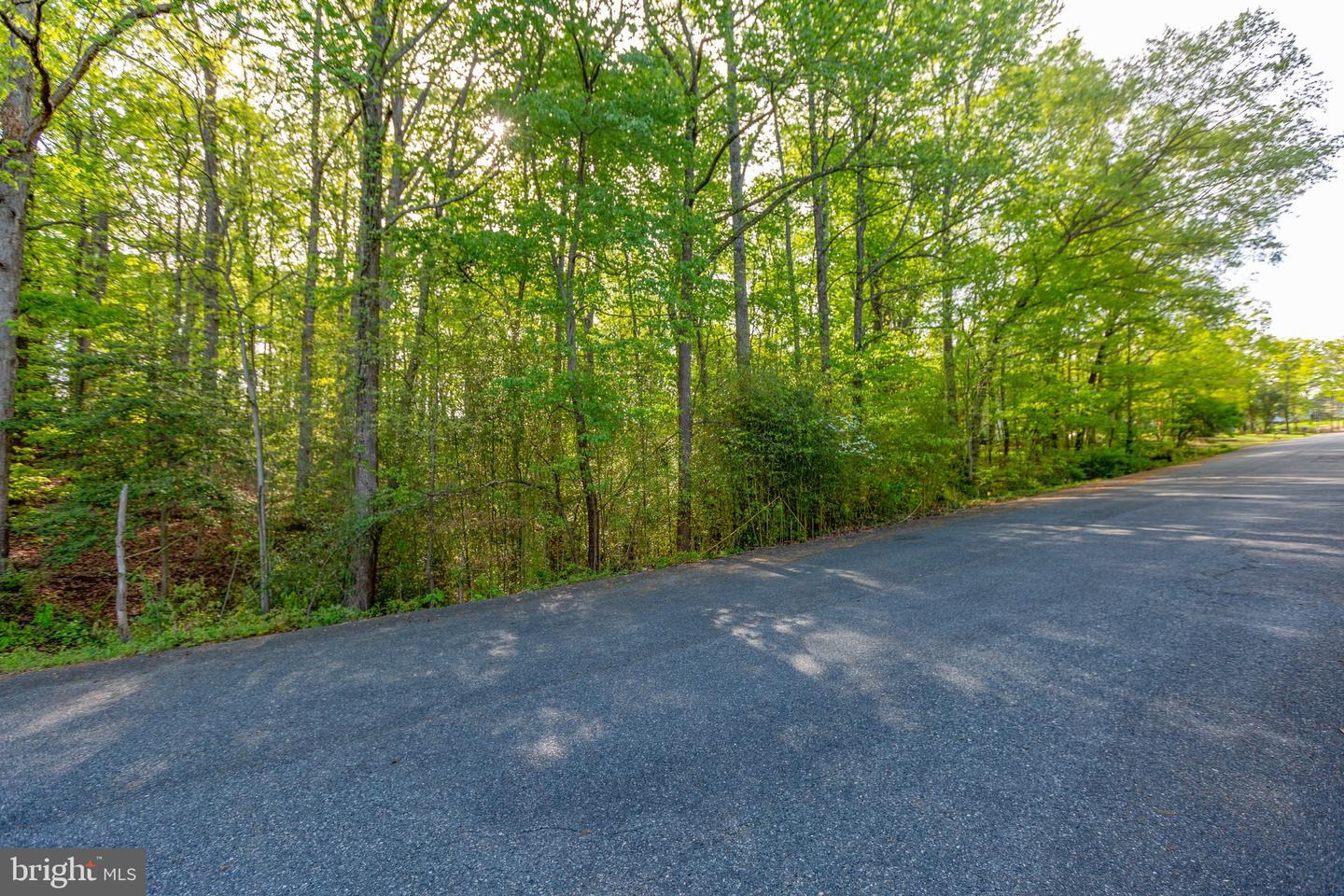 104 GOODLOE DR, FREDERICKSBURG, Virginia 22401, ,Land,For sale,104 GOODLOE DR,VAFB2004552 MLS # VAFB2004552