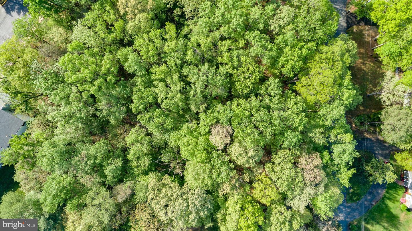 104 GOODLOE DR, FREDERICKSBURG, Virginia 22401, ,Land,For sale,104 GOODLOE DR,VAFB2004552 MLS # VAFB2004552