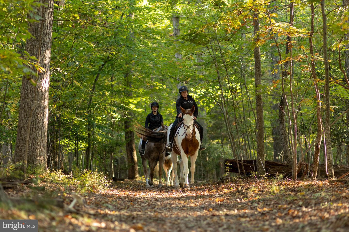 143 EDGEMONT CIR, LOCUST GROVE, Virginia 22508, 6 Bedrooms Bedrooms, ,4 BathroomsBathrooms,Residential,For sale,143 EDGEMONT CIR,VAOR2012624 MLS # VAOR2012624