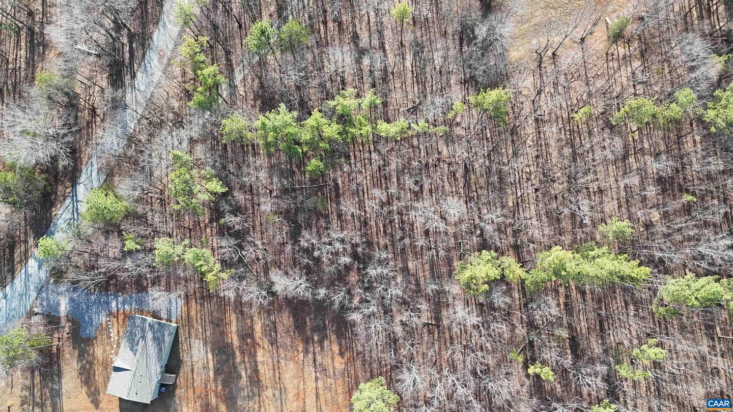 949 AUSTINS RD, GLADSTONE, Virginia 24553, ,Land,For sale,949 AUSTINS RD,674000 MLS # 674000