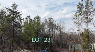949 AUSTINS RD, GLADSTONE, Virginia 24553, ,Land,For sale,949 AUSTINS RD,674000 MLS # 674000
