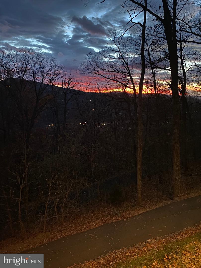 1157 GRANNY SMITH RD, LINDEN, Virginia 22642, 3 Bedrooms Bedrooms, 7 Rooms Rooms,3 BathroomsBathrooms,Residential,For sale,1157 GRANNY SMITH RD,VAWR2013180 MLS # VAWR2013180