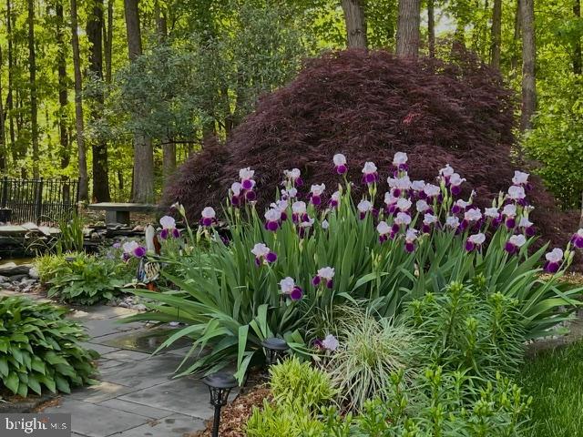 12524 PHILMONT DR, HERNDON, Virginia 20170, 5 Bedrooms Bedrooms, ,3 BathroomsBathrooms,Residential,For sale,12524 PHILMONT DR,VAFX2287814 MLS # VAFX2287814