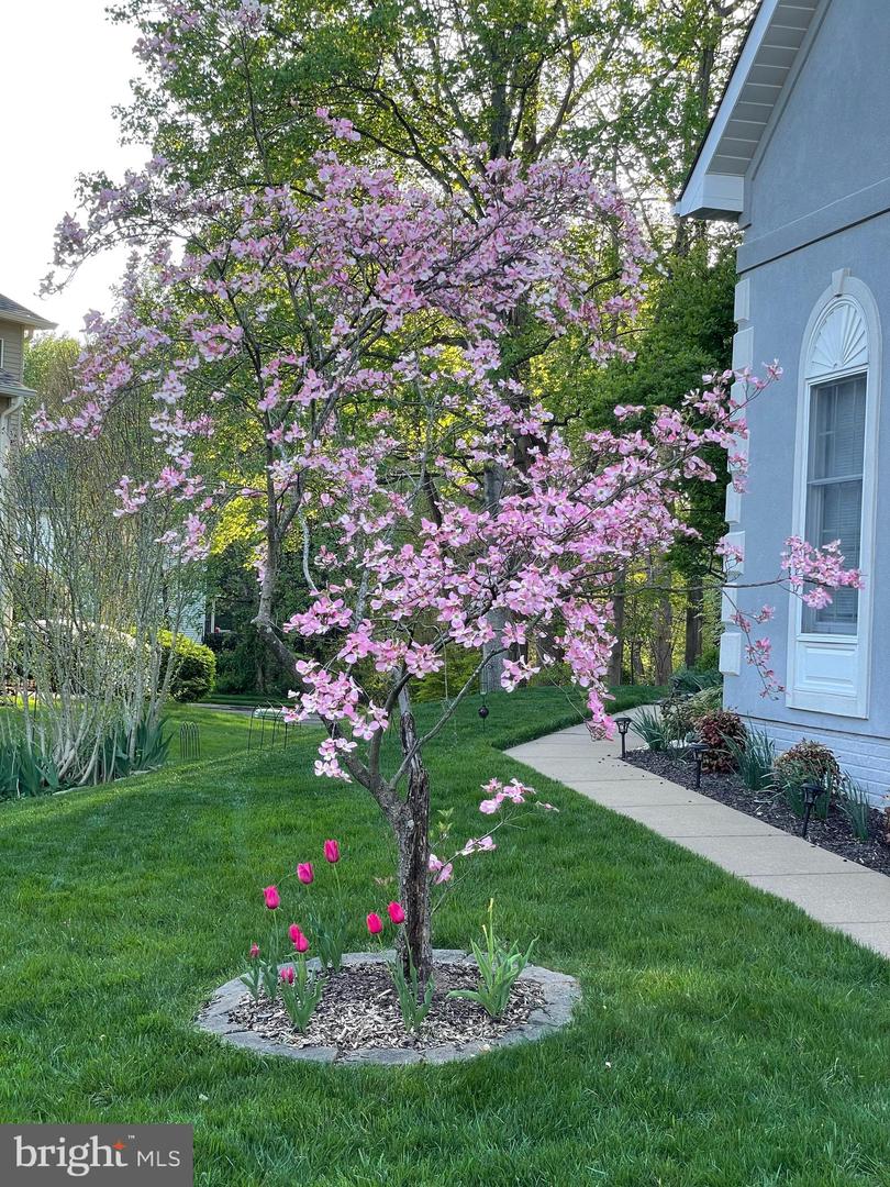 12524 PHILMONT DR, HERNDON, Virginia 20170, 5 Bedrooms Bedrooms, ,3 BathroomsBathrooms,Residential,For sale,12524 PHILMONT DR,VAFX2287814 MLS # VAFX2287814