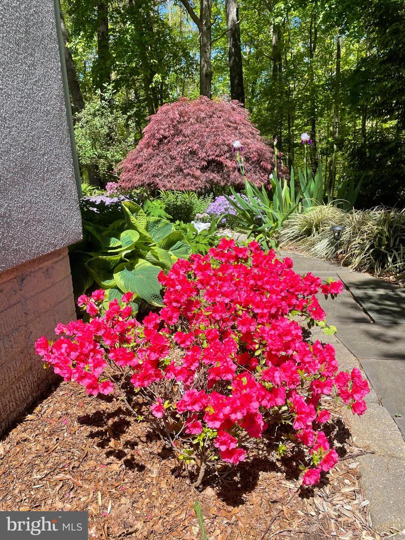 12524 PHILMONT DR, HERNDON, Virginia 20170, 5 Bedrooms Bedrooms, ,3 BathroomsBathrooms,Residential,For sale,12524 PHILMONT DR,VAFX2287814 MLS # VAFX2287814