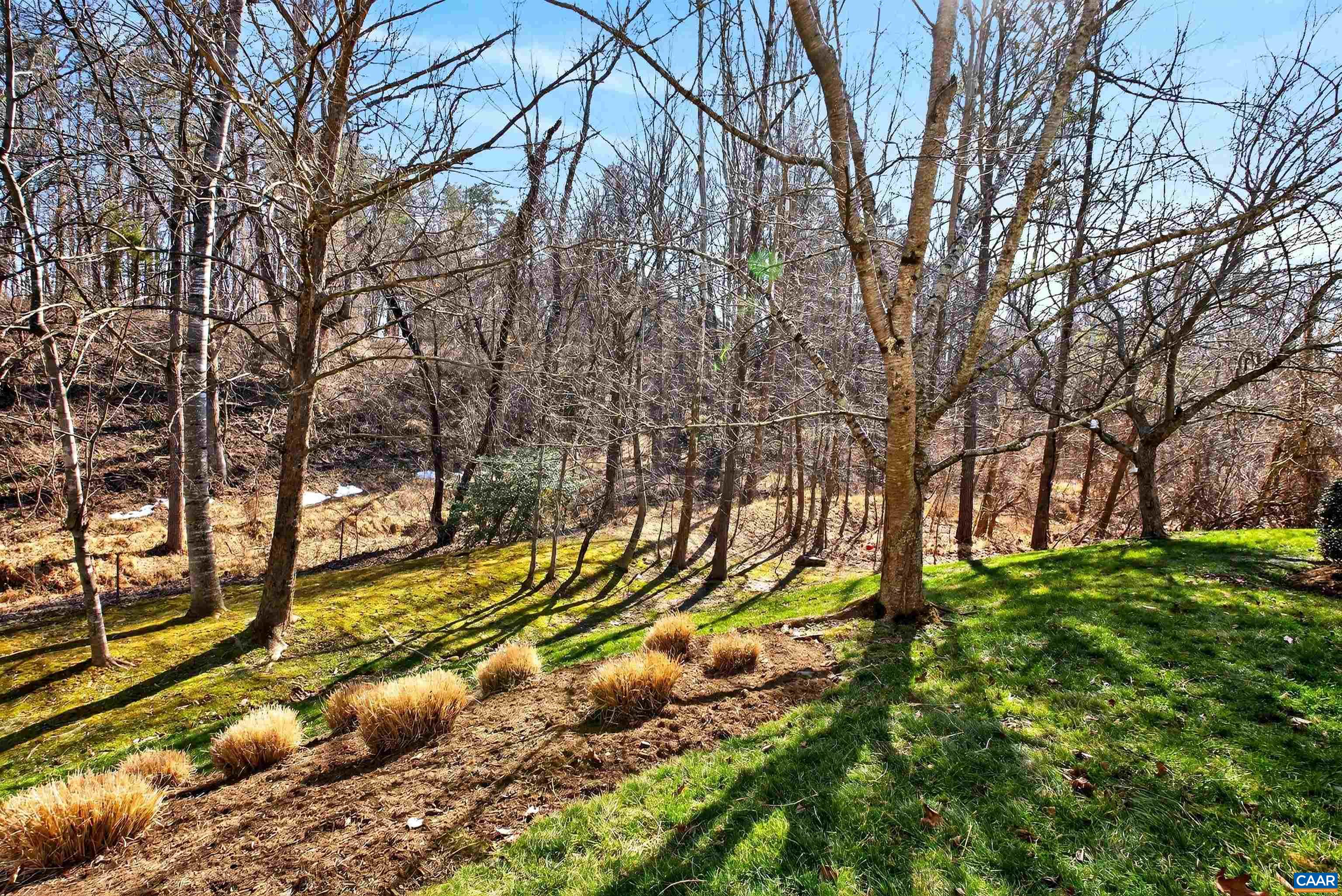 1069 BRISTLECONE LN, CHARLOTTESVILLE, Virginia 22911, 3 Bedrooms Bedrooms, ,2 BathroomsBathrooms,Residential,1069 BRISTLECONE LN,673994 MLS # 673994