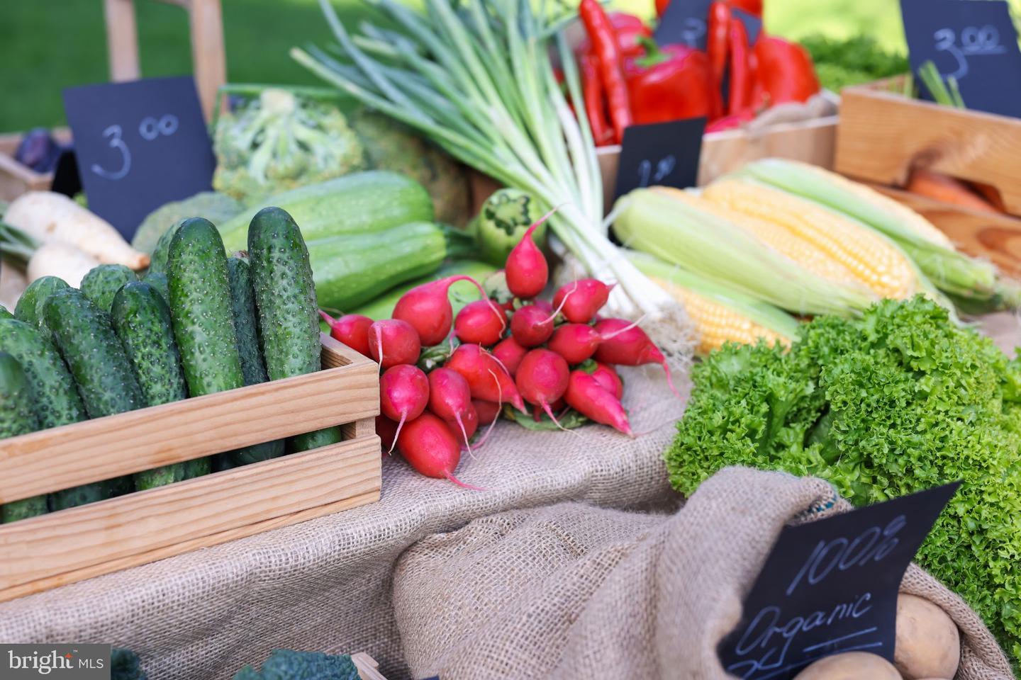 2900 13TH ST S #103, ARLINGTON, Virginia 22204, 2 Bedrooms Bedrooms, ,1 BathroomBathrooms,Residential,For sale,2900 13TH ST S #103,VAAR2068736 MLS # VAAR2068736