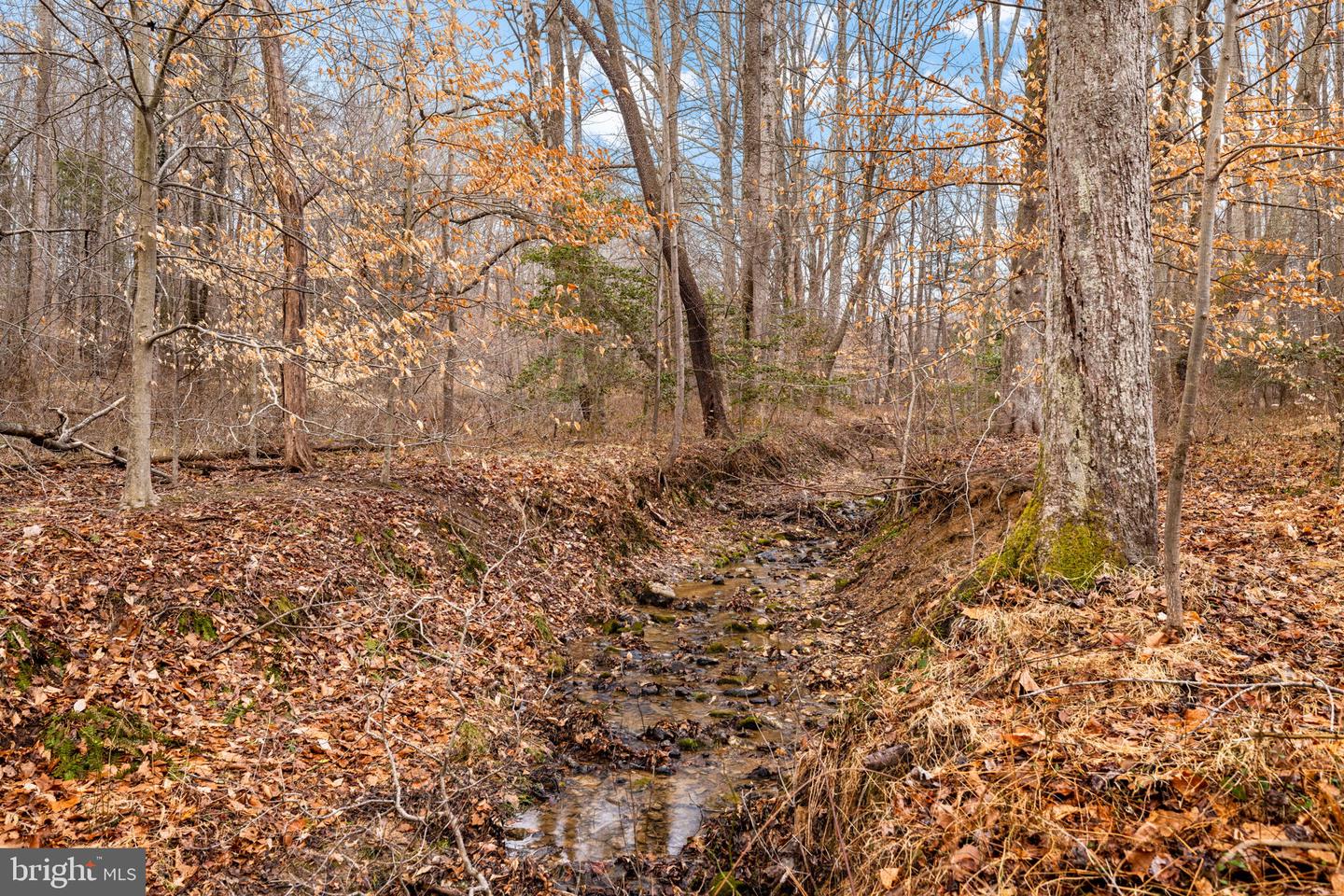 5500 BEECH RIDGE DR, FAIRFAX, Virginia 22030, 5 Bedrooms Bedrooms, ,4 BathroomsBathrooms,Residential,For sale,5500 BEECH RIDGE DR,VAFX2290716 MLS # VAFX2290716
