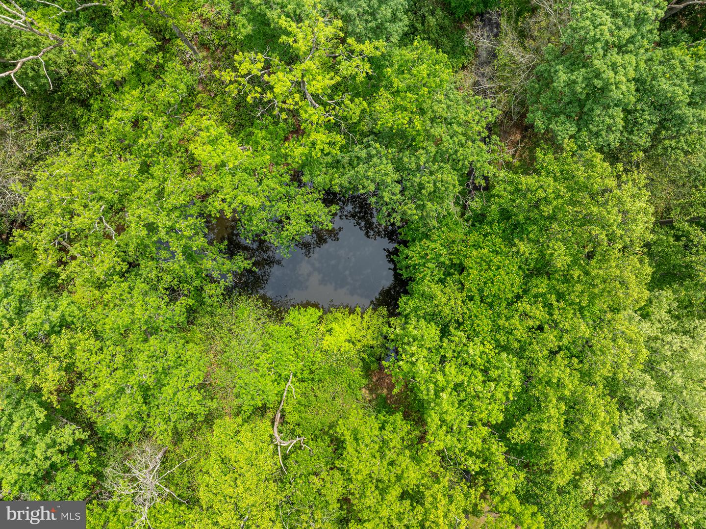 10611 ALLENWOOD LN, GREAT FALLS, Virginia 22066, 6 Bedrooms Bedrooms, ,4 BathroomsBathrooms,Residential,For sale,10611 ALLENWOOD LN,VAFX2291158 MLS # VAFX2291158