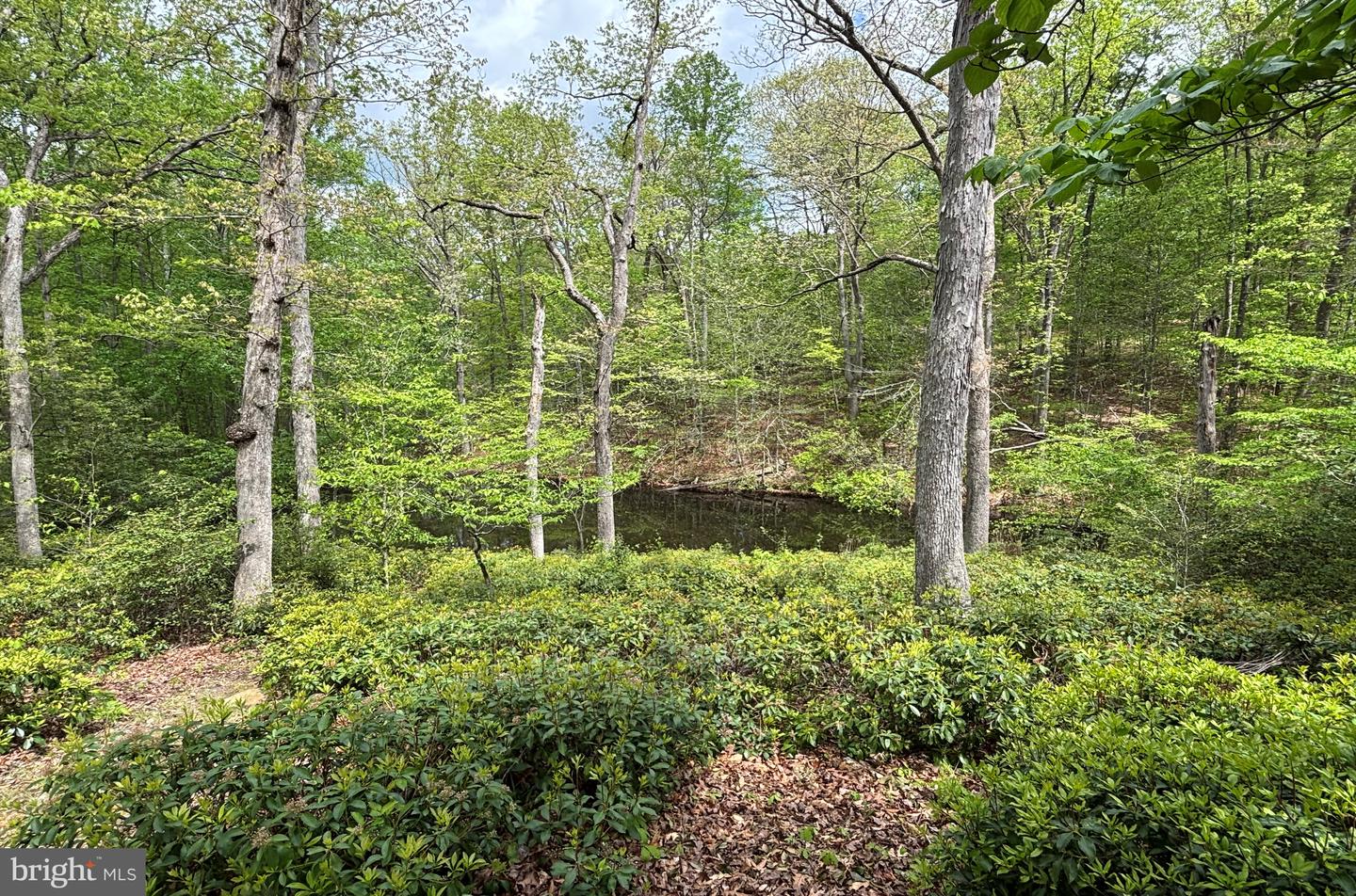 10611 ALLENWOOD LN, GREAT FALLS, Virginia 22066, 6 Bedrooms Bedrooms, ,4 BathroomsBathrooms,Residential,For sale,10611 ALLENWOOD LN,VAFX2291158 MLS # VAFX2291158