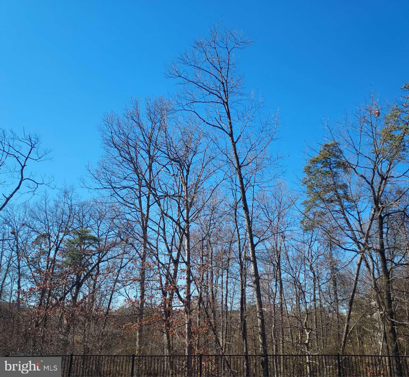 2433 LIBERTY LOOP, HERNDON, Virginia 20171, 3 Bedrooms Bedrooms, ,2 BathroomsBathrooms,Residential,For sale,2433 LIBERTY LOOP,VAFX2291912 MLS # VAFX2291912