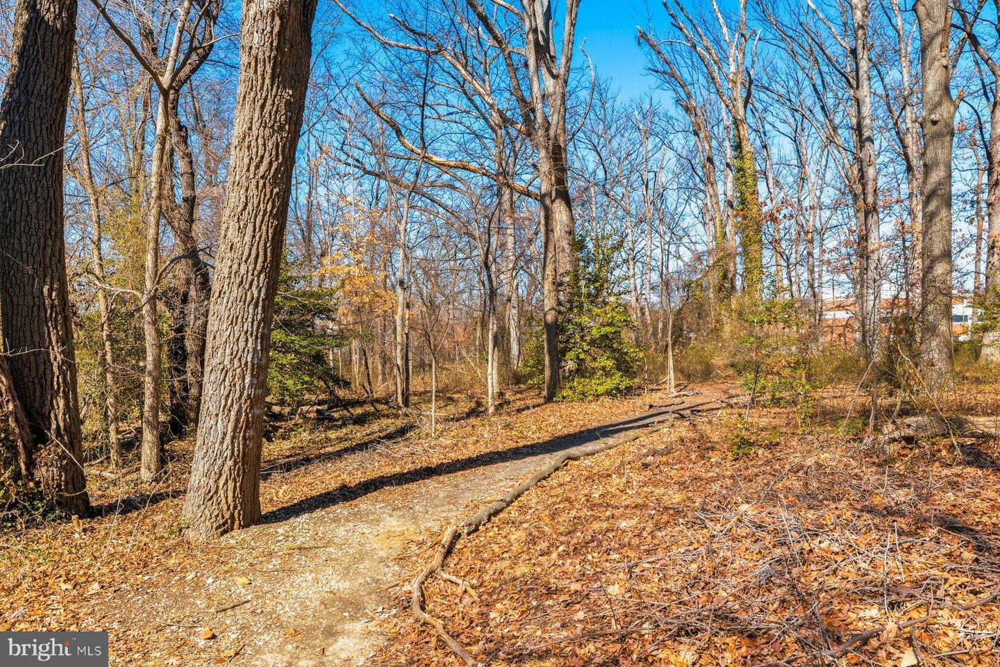 610 JEFFERSON ST NW #B1, WASHINGTON, District Of Columbia 20011, 3 Bedrooms Bedrooms, 5 Rooms Rooms,2 BathroomsBathrooms,Residential,For sale,610 JEFFERSON ST NW #B1,DCDC2247066 MLS # DCDC2247066