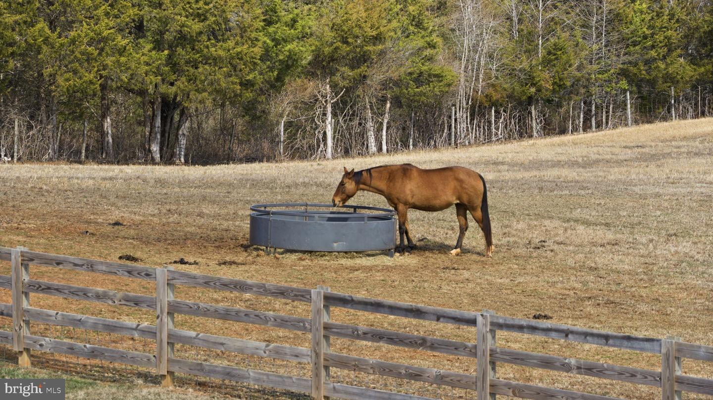 1815 COUNTRY RD, BEAVERDAM, Virginia 23015, 3 Bedrooms Bedrooms, ,2 BathroomsBathrooms,Residential,For sale,1815 COUNTRY RD,VACV2009572 MLS # VACV2009572