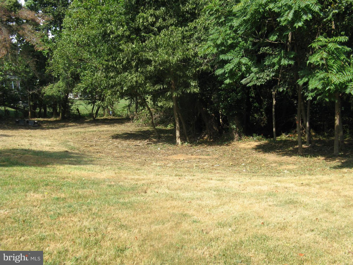 LOT 1C HARMON LODGE, ROUND HILL, Virginia 20141, ,Land,For sale,LOT 1C HARMON LODGE,VALO2117424 MLS # VALO2117424