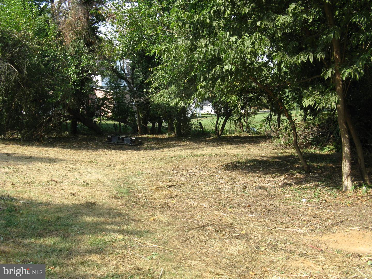 LOT 1C HARMON LODGE, ROUND HILL, Virginia 20141, ,Land,For sale,LOT 1C HARMON LODGE,VALO2117424 MLS # VALO2117424