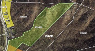 31 ORCHARD RD, LOVINGSTON, Virginia 22949, 5 Bedrooms Bedrooms, ,2 BathroomsBathrooms,Residential,For sale,31 ORCHARD RD,VANL2000638 MLS # VANL2000638