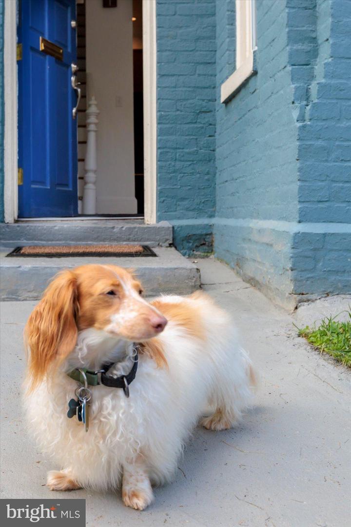 911 INDEPENDENCE AVE SE, WASHINGTON, District Of Columbia 20003, 3 Bedrooms Bedrooms, 5 Rooms Rooms,2 BathroomsBathrooms,Residential,For sale,911 INDEPENDENCE AVE SE,DCDC2248816 MLS # DCDC2248816