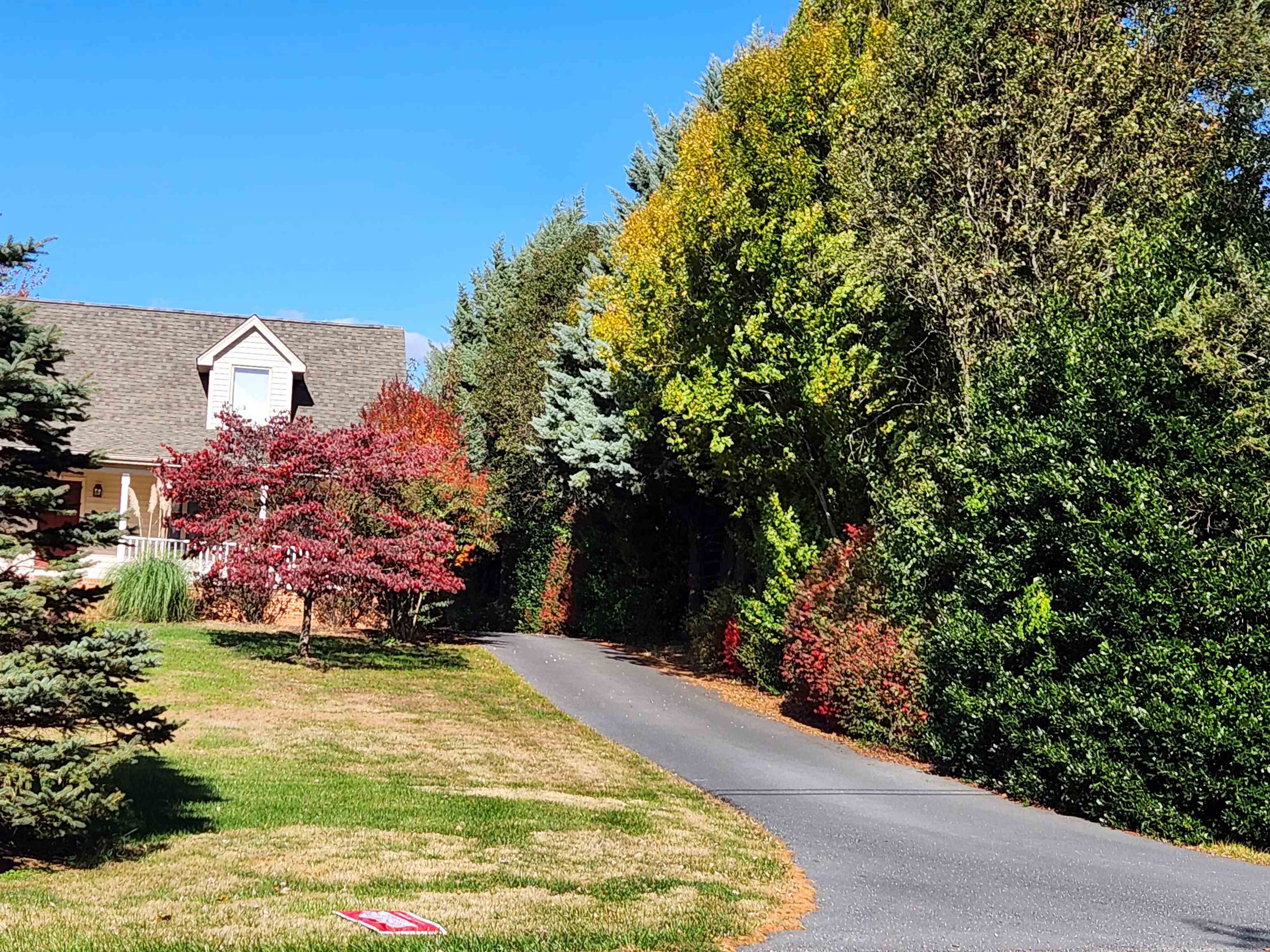 344 GRAVELS RD, ROCKINGHAM, Virginia 22802, 3 Bedrooms Bedrooms, ,3 BathroomsBathrooms,Residential,Gravel Rd Single Fam,344 GRAVELS RD,674022 MLS # 674022