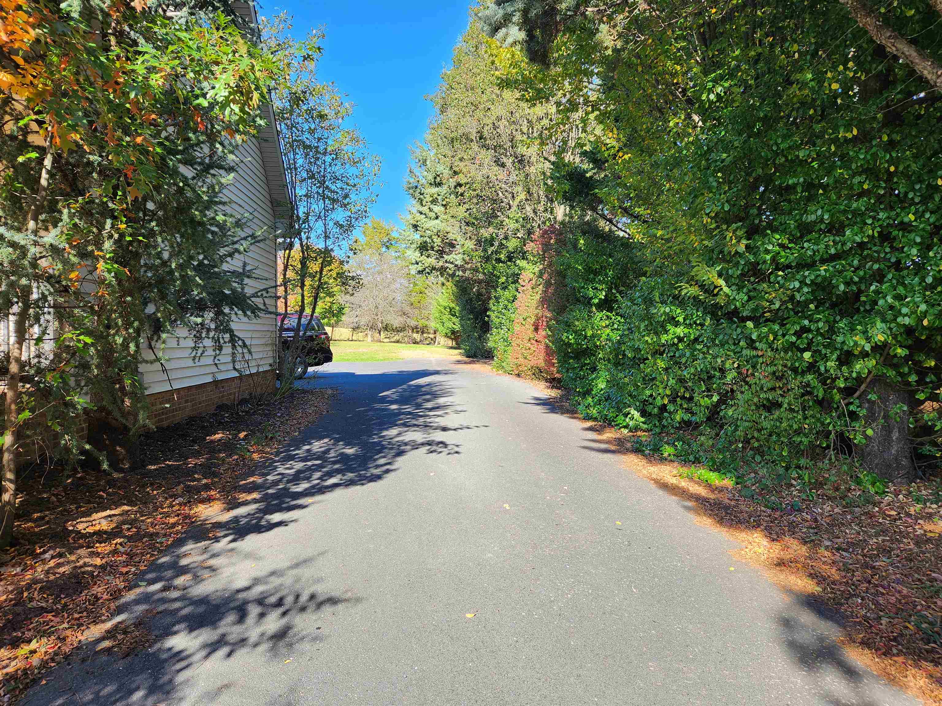 344 GRAVELS RD, ROCKINGHAM, Virginia 22802, 3 Bedrooms Bedrooms, ,3 BathroomsBathrooms,Residential,Gravel Rd Single Fam,344 GRAVELS RD,674022 MLS # 674022