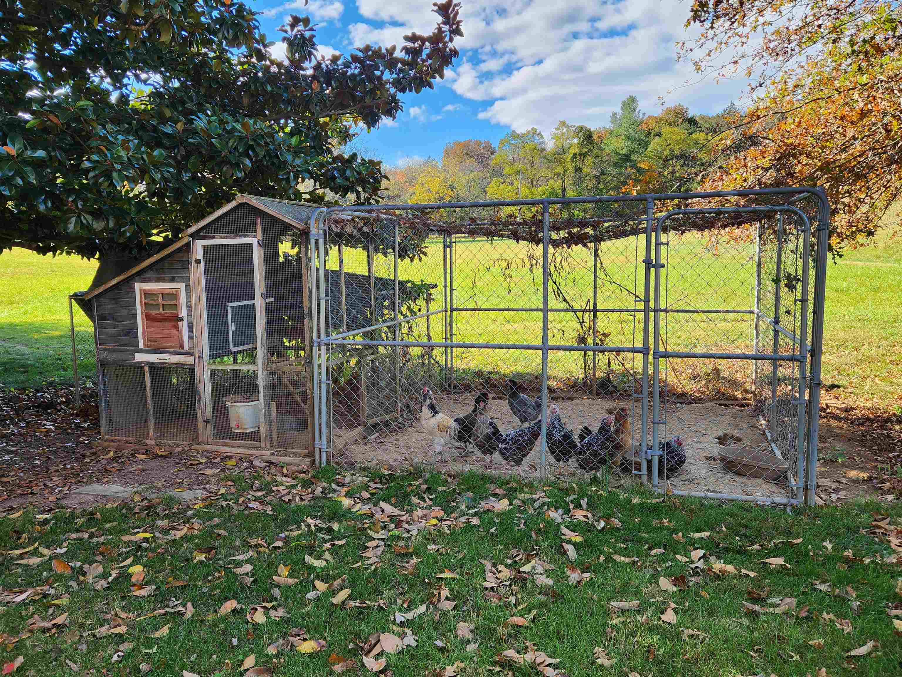 344 GRAVELS RD, ROCKINGHAM, Virginia 22802, 3 Bedrooms Bedrooms, ,3 BathroomsBathrooms,Residential,Gravel Rd Single Fam,344 GRAVELS RD,674022 MLS # 674022