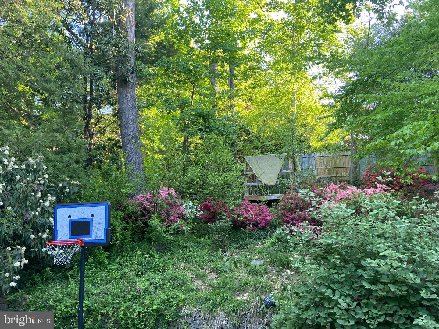 3017 CLEVELAND AVE NW, WASHINGTON, District Of Columbia 20008, 3 Bedrooms Bedrooms, ,3 BathroomsBathrooms,Residential,For sale,3017 CLEVELAND AVE NW,DCDC2235140 MLS # DCDC2235140