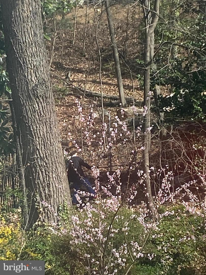 3017 CLEVELAND AVE NW, WASHINGTON, District Of Columbia 20008, 3 Bedrooms Bedrooms, ,3 BathroomsBathrooms,Residential,For sale,3017 CLEVELAND AVE NW,DCDC2235140 MLS # DCDC2235140