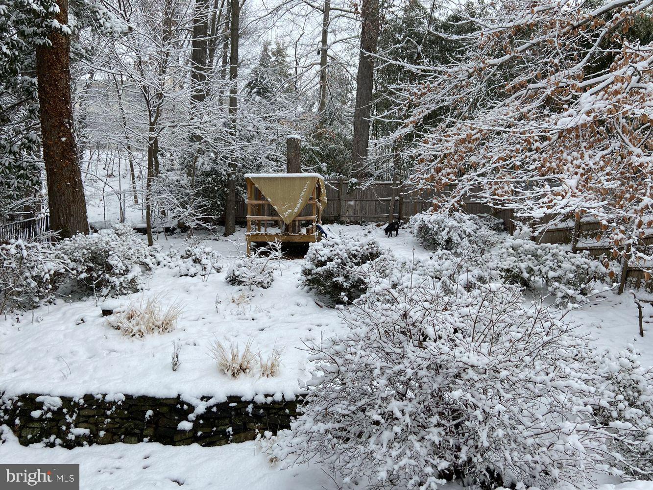 3017 CLEVELAND AVE NW, WASHINGTON, District Of Columbia 20008, 3 Bedrooms Bedrooms, ,3 BathroomsBathrooms,Residential,For sale,3017 CLEVELAND AVE NW,DCDC2235140 MLS # DCDC2235140