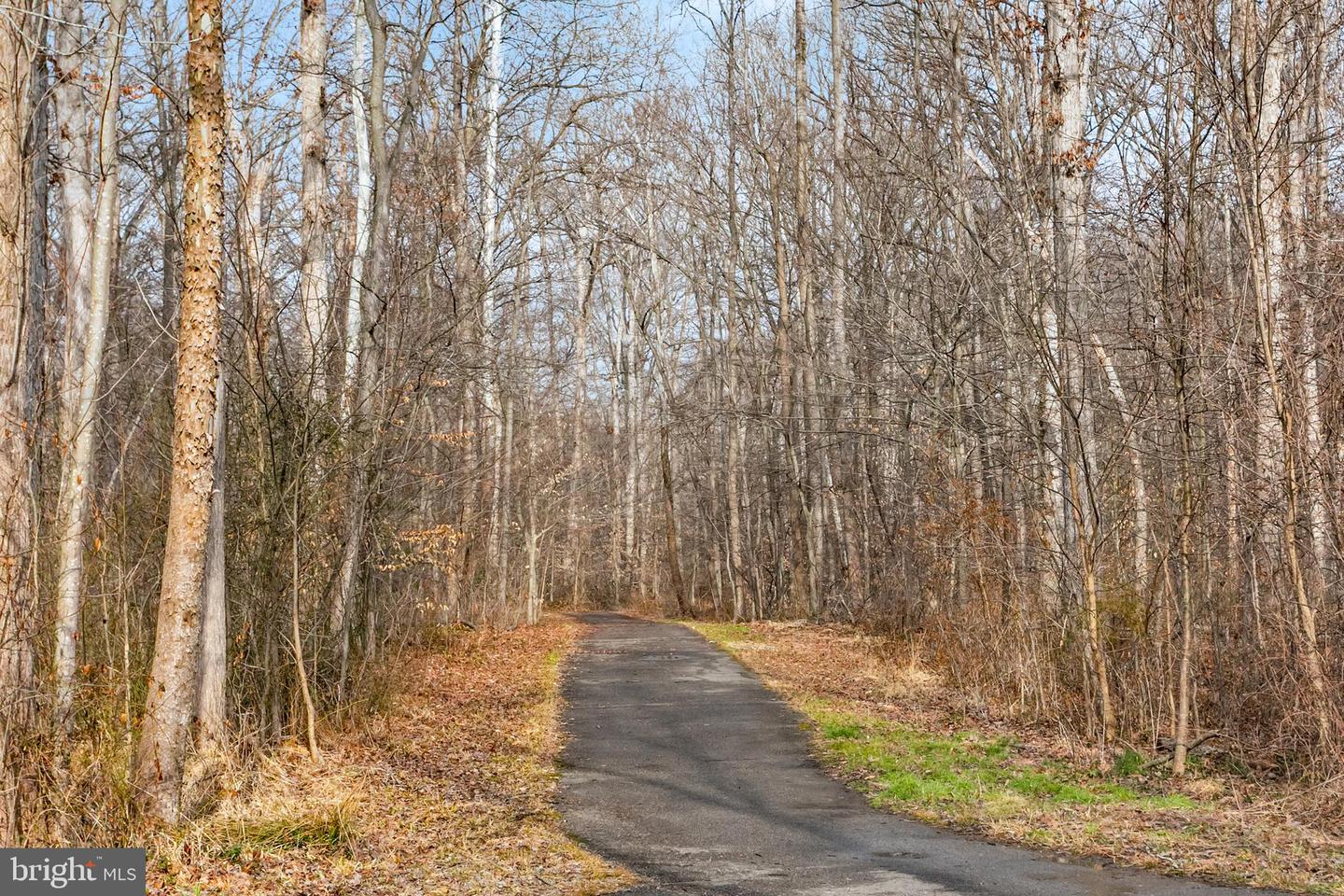 7205 GENTIAN CT, SPRINGFIELD, Virginia 22152, 3 Bedrooms Bedrooms, ,2 BathroomsBathrooms,Residential,For sale,7205 GENTIAN CT,VAFX2289794 MLS # VAFX2289794