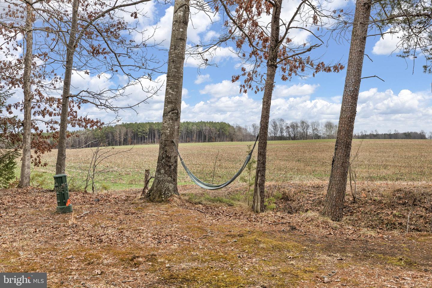 278 RISING SUN RD, MINERAL, Virginia 23117, 4 Bedrooms Bedrooms, ,2 BathroomsBathrooms,Residential,For sale,278 RISING SUN RD,VALA2009340 MLS # VALA2009340