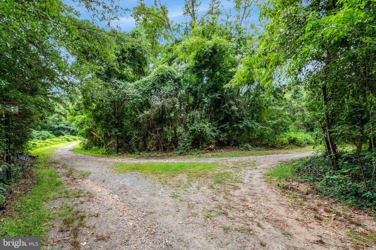 6111 WIGMORE LN #F, ALEXANDRIA, Virginia 22315, 2 Bedrooms Bedrooms, ,2 BathroomsBathrooms,Residential,For sale,6111 WIGMORE LN #F,VAFX2292662 MLS # VAFX2292662