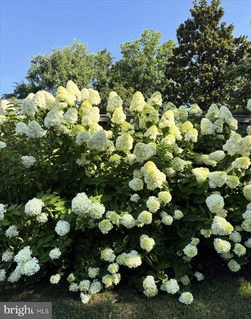 2609 DAVIS AVE., ALEXANDRIA, Virginia 22302, 3 Bedrooms Bedrooms, ,2 BathroomsBathrooms,Residential,For sale,2609 DAVIS AVE.,VAAX2054564 MLS # VAAX2054564