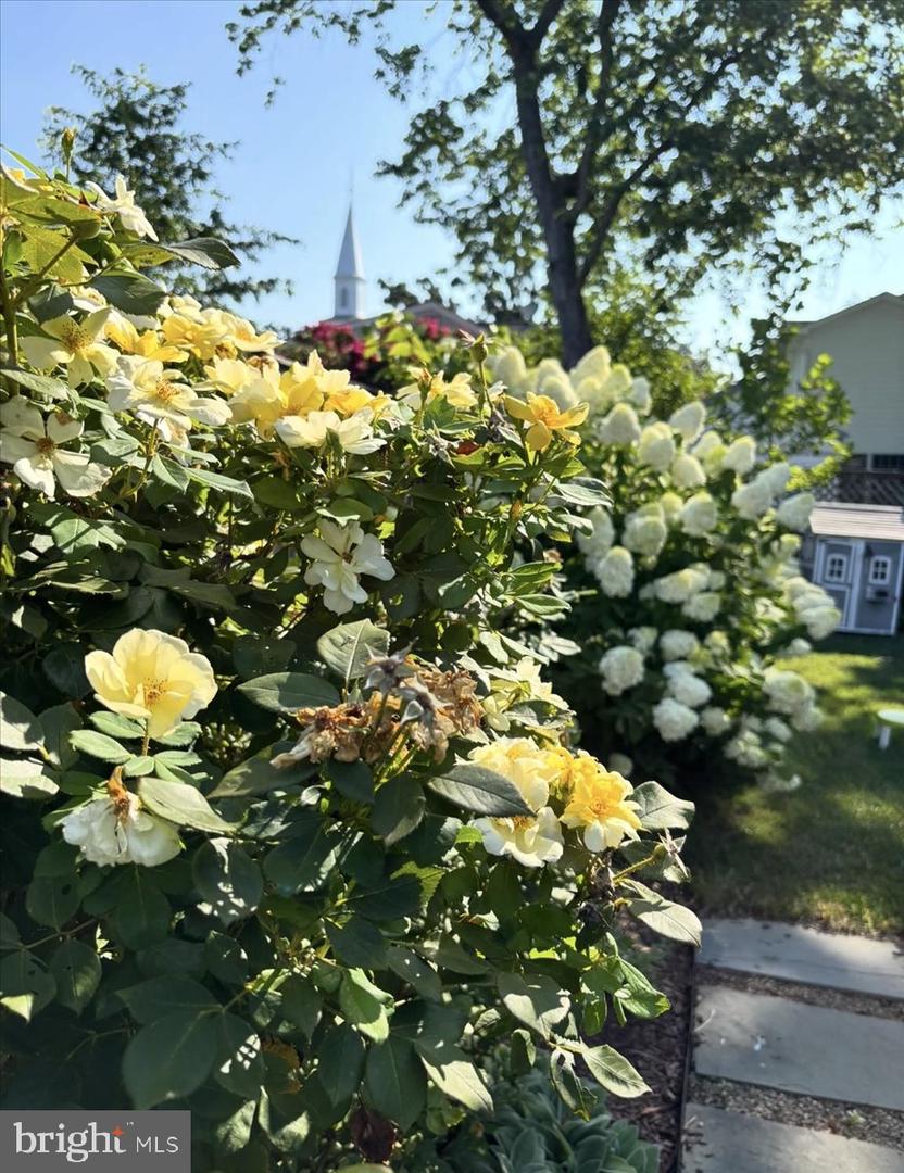 2609 DAVIS AVE., ALEXANDRIA, Virginia 22302, 3 Bedrooms Bedrooms, ,2 BathroomsBathrooms,Residential,For sale,2609 DAVIS AVE.,VAAX2054564 MLS # VAAX2054564