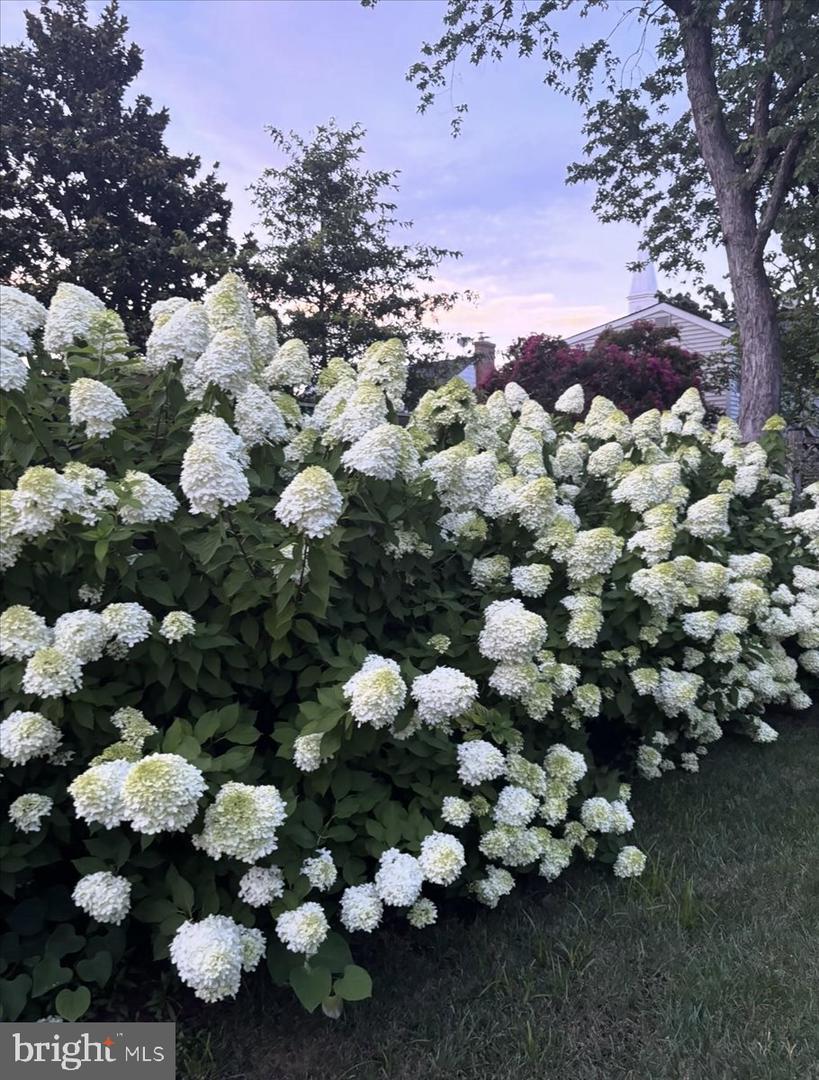 2609 DAVIS AVE., ALEXANDRIA, Virginia 22302, 3 Bedrooms Bedrooms, ,2 BathroomsBathrooms,Residential,For sale,2609 DAVIS AVE.,VAAX2054564 MLS # VAAX2054564