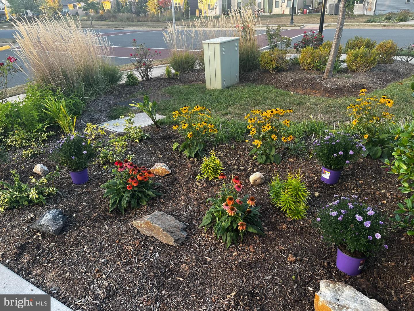 6863 MOONSTONE PEONY LN, HAYMARKET, Virginia 20169, 2 Bedrooms Bedrooms, 11 Rooms Rooms,2 BathroomsBathrooms,Residential,For sale,6863 MOONSTONE PEONY LN,VAPW2113430 MLS # VAPW2113430